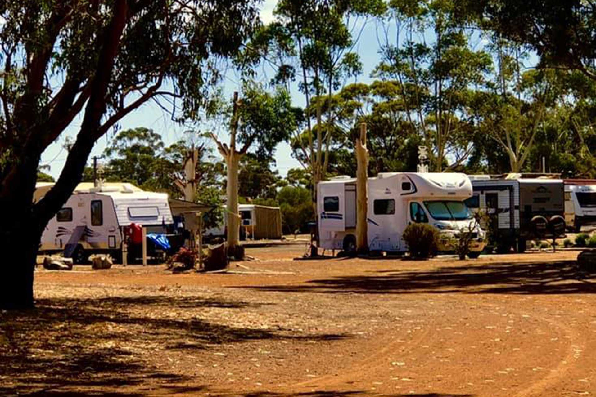 Katanning Caravan Park photo